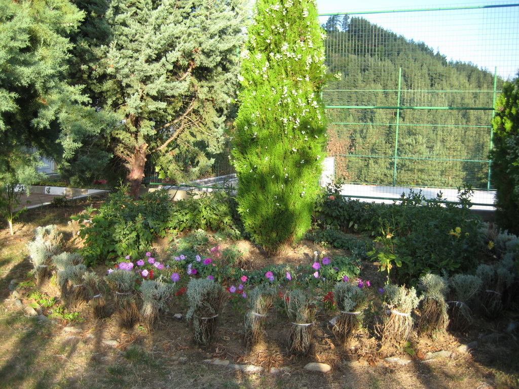 The Castel Nedelino 2011_10